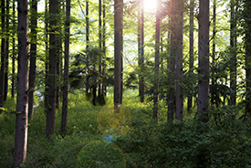 ������ʱ - �������ǲ�!