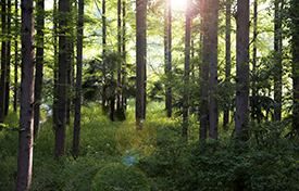 ������ʱ - �������ǲ�!